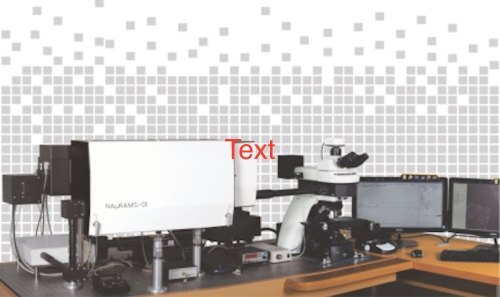 Micro Raman Spectrometer Model: NAURAMS 01