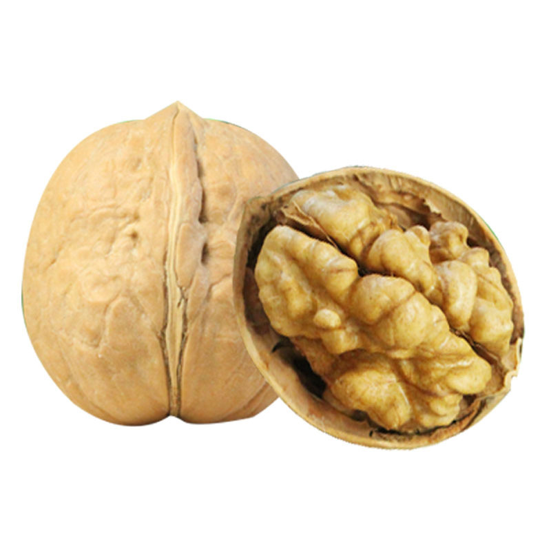 Best Quality Walnut