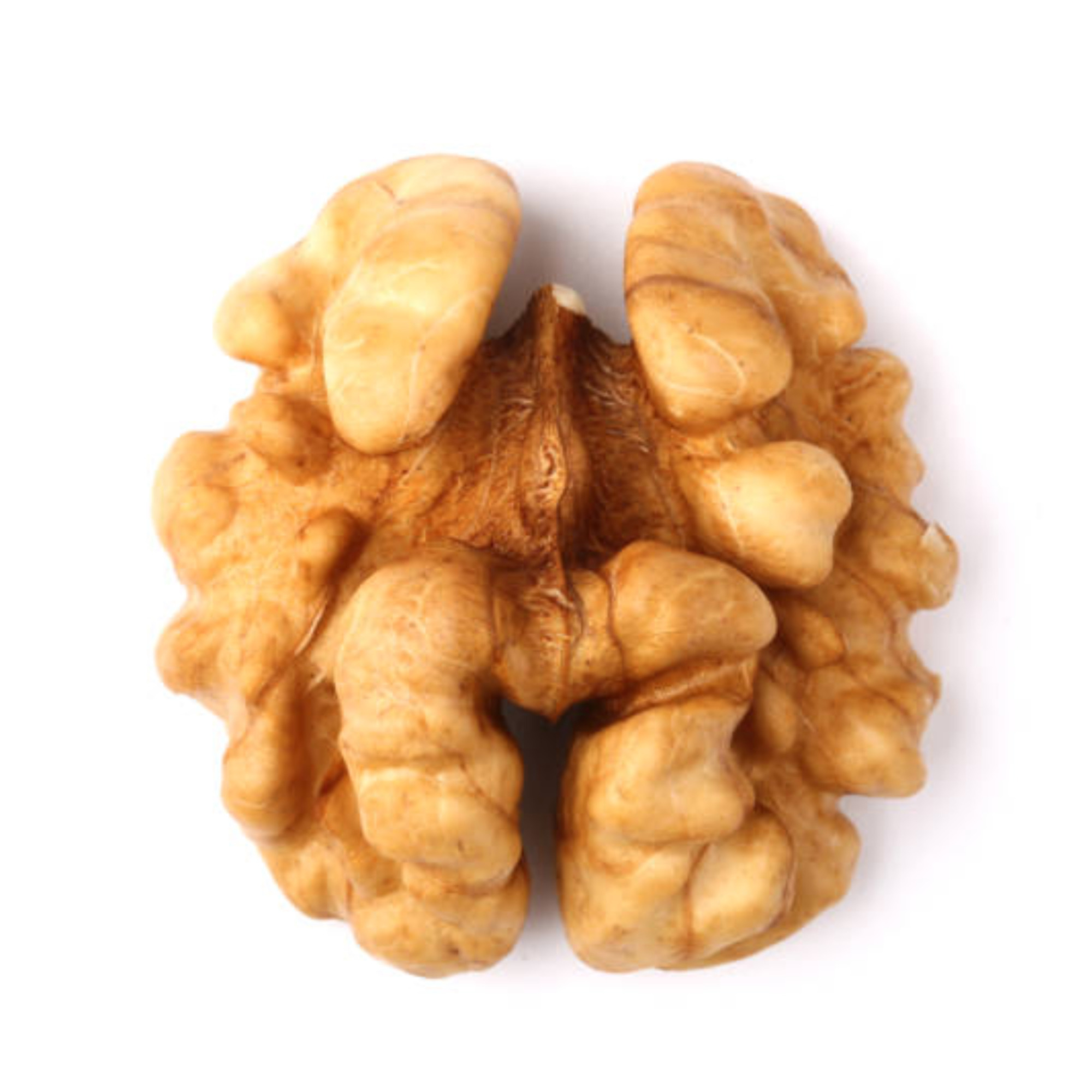 Best Quality Walnut
