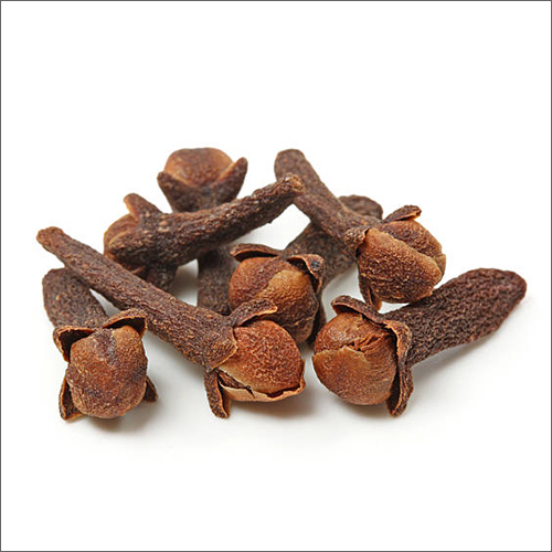 10mm Black Clove