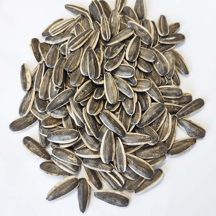 Sunflower Kernels Seeds