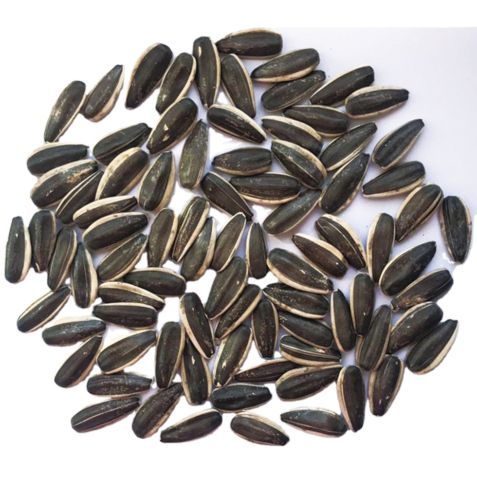 Sunflower Kernels Seeds