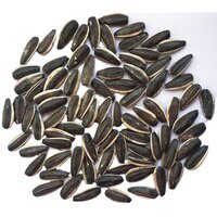 Sunflower Kernels Seeds