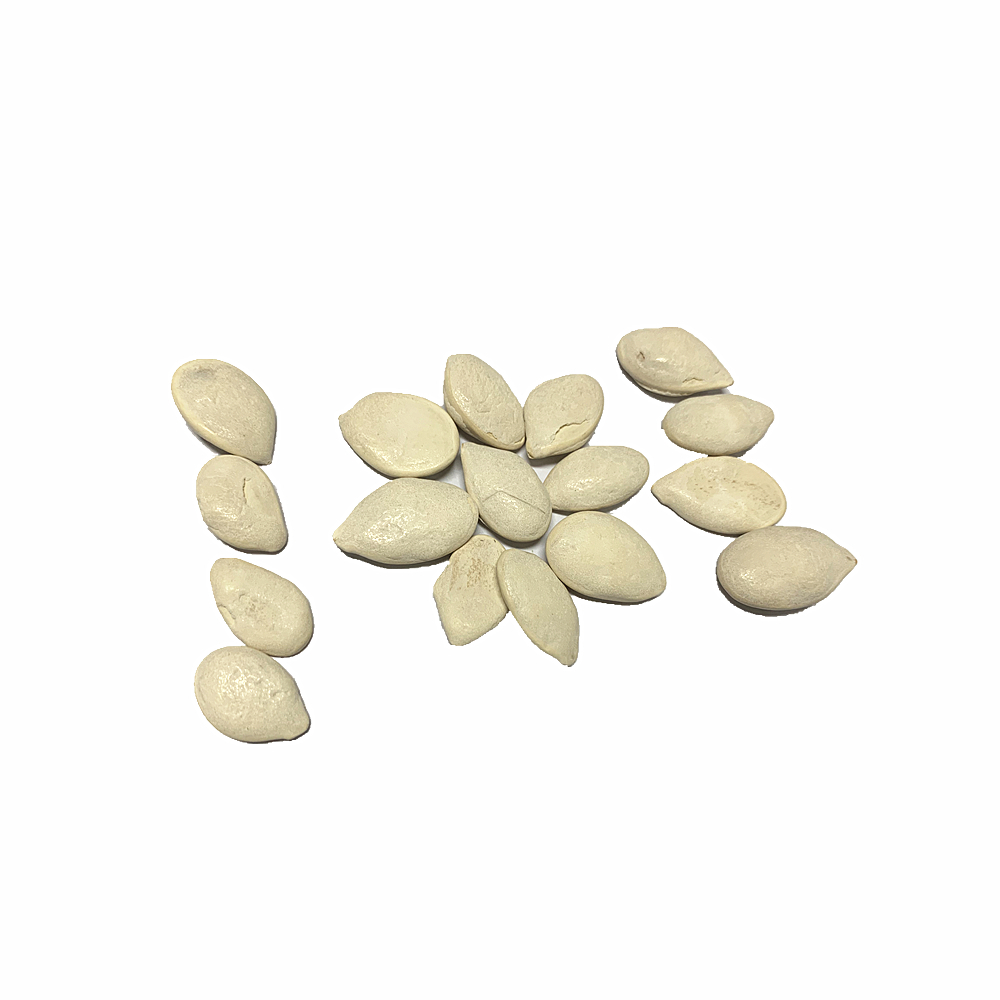 shine skin pumpkin seeds
