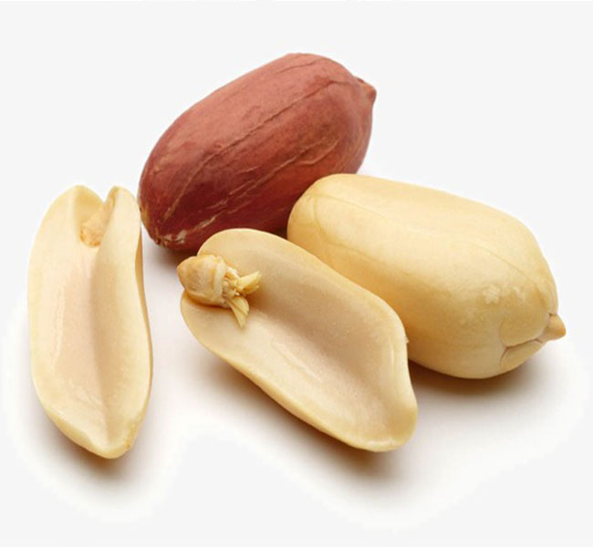 Organic Peanut Nuts with Premium Quality