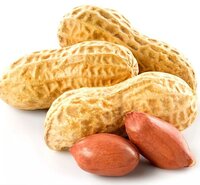 Organic Peanut Nuts with Premium Quality