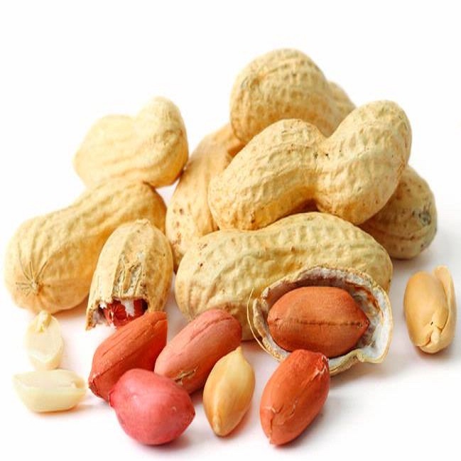 Organic Peanut Nuts with Premium Quality