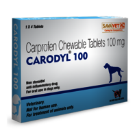 Carodyl 100 Mg