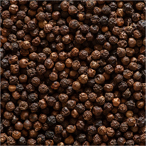 Black Pepper - Raw Fresh Spice | Quality Packaging for Storage in Dry Place, Rich in Piperine with Antioxidant Properties