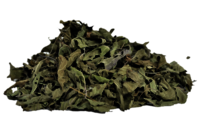 Dried Tulsi (basil )Leaves