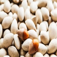 Dried Quality Ginkgo Nuts