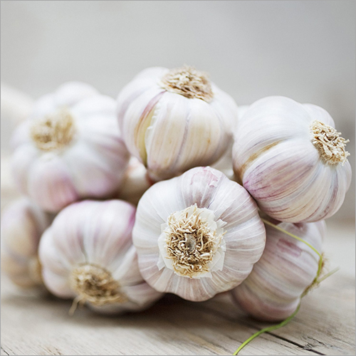 Natural Fresh Garlic