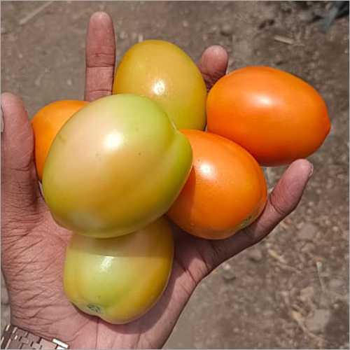 Inorganic Tomatoes