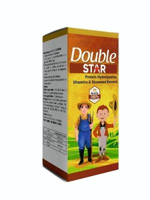 Double Star