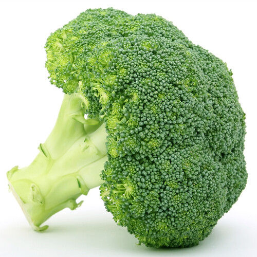 New Production IQF Frozen Vegetable Broccoli