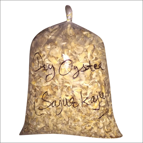 Fresh Dry Oyster Mushroom