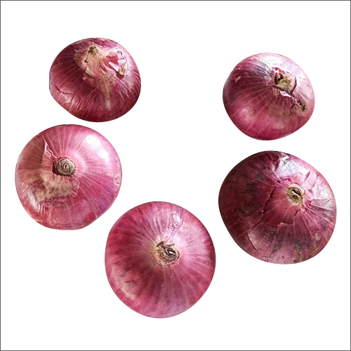 Fresh Onion