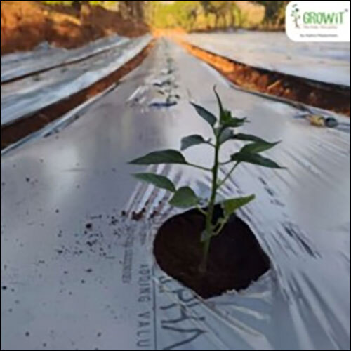 Biodegradable Plastic Mulch Film