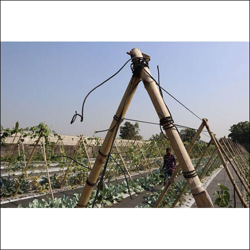 Agriculture Galvanized Steel Wire