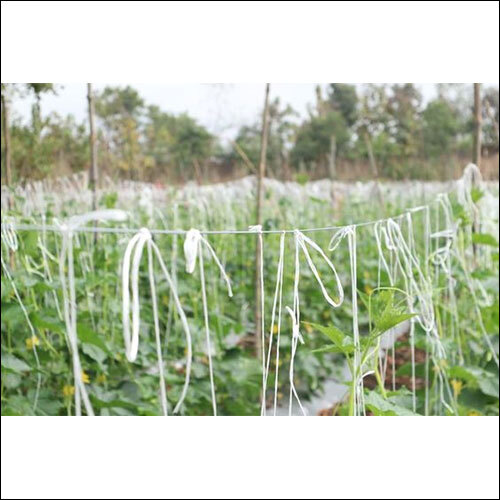 Polyester Crop Supporting Thread