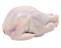 FROZEN WHOLE CHICHEN