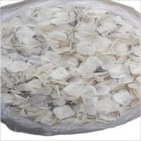 Dry Fish Scales
