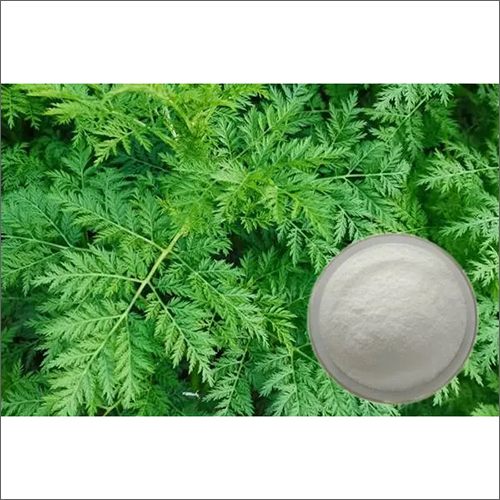 Artesunate 99% Cas 88495-63-0 Artemisia Annua Extract