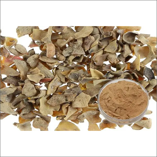 Galla Chinensis Extract Ellagic Acid Tannic Acid Gallic Acid Pharmaceutical Raw Materials