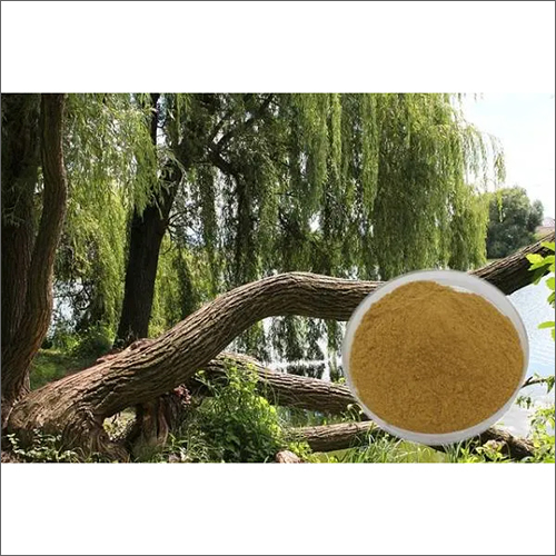 Willow Bark Extract Salicin Salicylic Acid Raw Materials For Plant Cosmetics