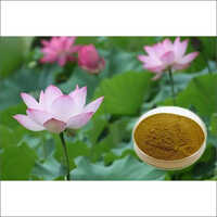 Nuciferine 2% 10% 98% Cas 475-83-2 Reduce Weight Hypolipidemic Lotus Leaf Extract