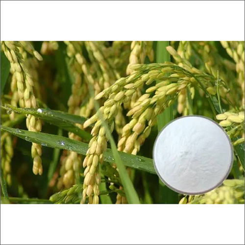 Normal Rice Bran Extract Natural Ferulic Acid Ceramide 3 Cosmetic Grade Raw Materials