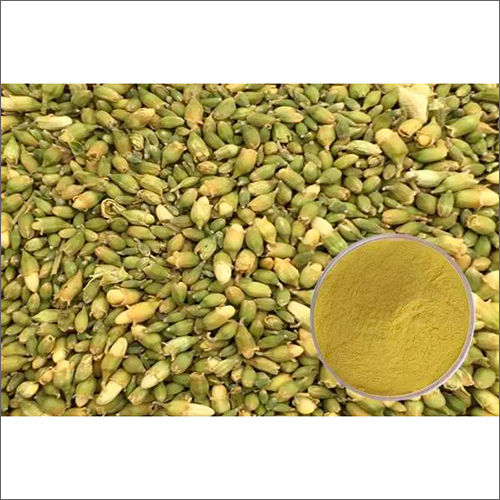 Troxerutin 98% Cas 7085-55-4 Fructuss Sophorae Extract Cosmetic Raw Materials Ingredients: Herbal