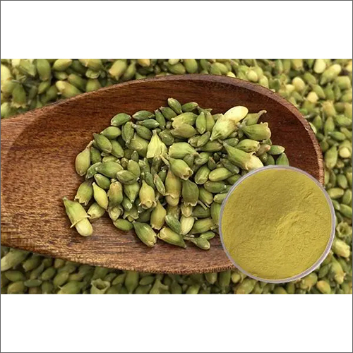 Rutin 95% Cas 153-18-4 Fructuss Sophorae Extract Antioxidant Cosmetic Raw Materials