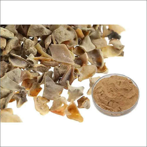 Tannic Acid 81%-98% Cas 1401-55-4 Galla Chinensis Extract Cosmetic Raw Materials