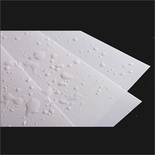 Non Tearable Waterproof PP Synthetic Paper