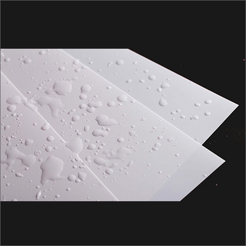 Non Tearable Waterproof Pp Synthetic Paper - Color: White