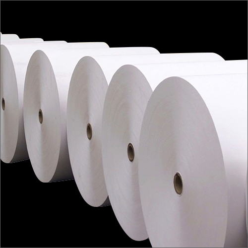 Synthetic Paper Roll