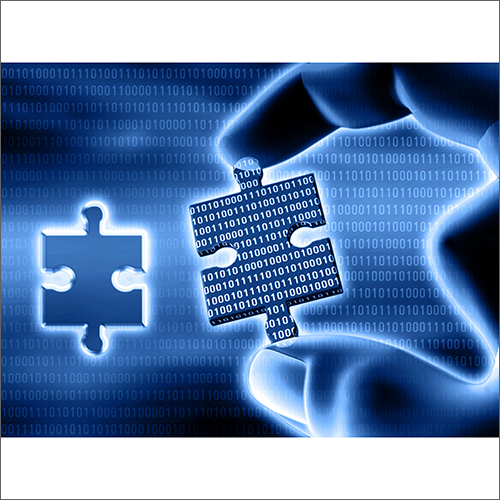 Application Software Services