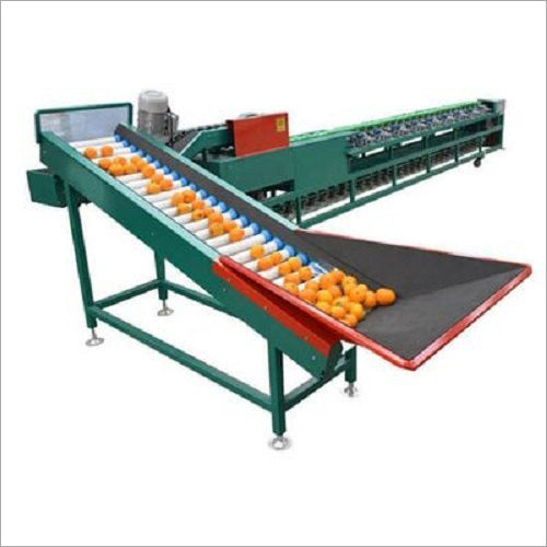 Orange Grading Machine