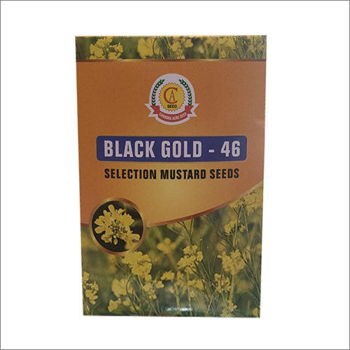 Black Gold 46 Mustard Seeds