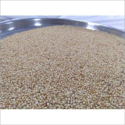 Organic Proso Millet