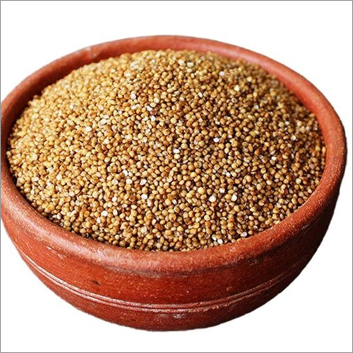 Organic Kodo Millet