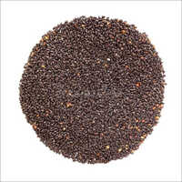 Organic Basil Seeds - 25 Kg Bag | Black, Common Cultivation Type, 99.9% Purity, Dietary Fiber 34.86 G Per 100 G, 12 Months Shelf Life