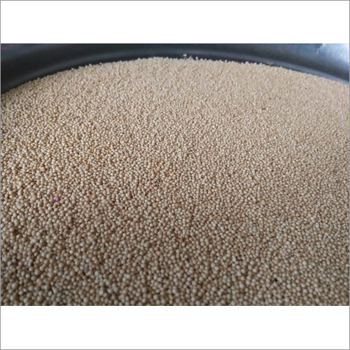 Organic Amaranth Seeds