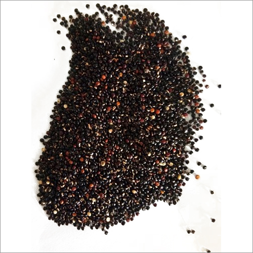 Black Quinoa Seeds
