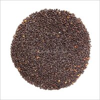Organic Basil Seeds