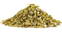 Organic Fennel Seed