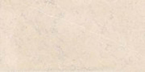 Rak Florito Beige 1200x600mm