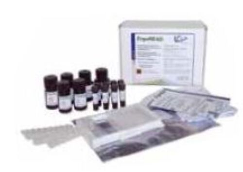 ELISA Rapid Test ErgoREAD