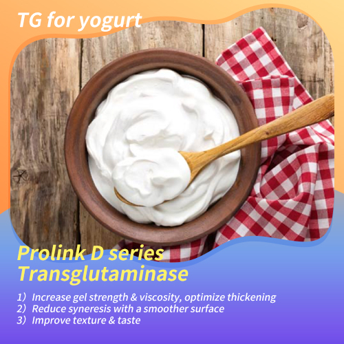 Transglutaminase - Yogurt